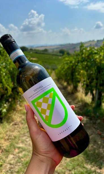 Azienda agricola Mario Lucchetti – photo 3