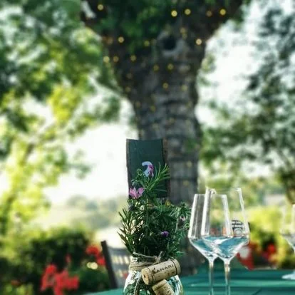 Cantina Lanari – photo 2