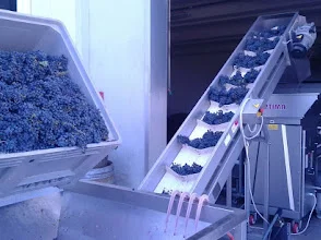 Cantina Sant’Isidoro – photo 3