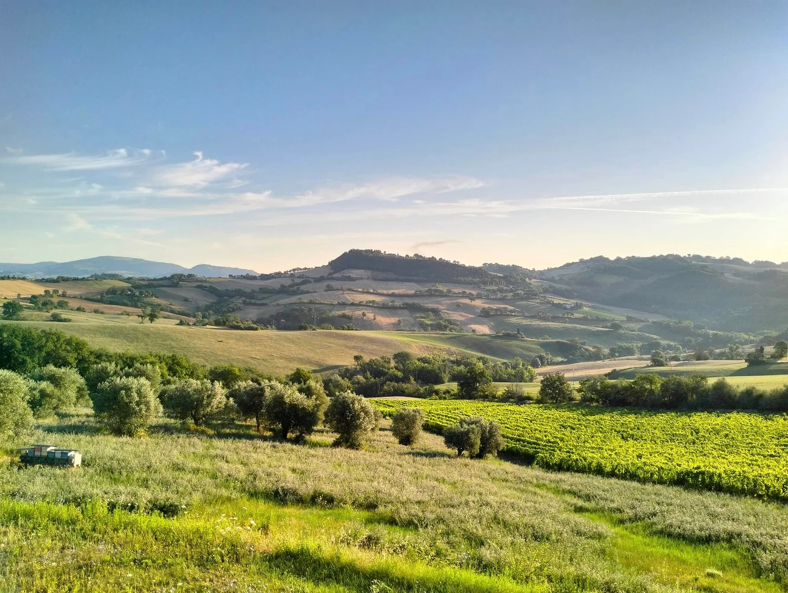 Cantina VerSer – photo 2