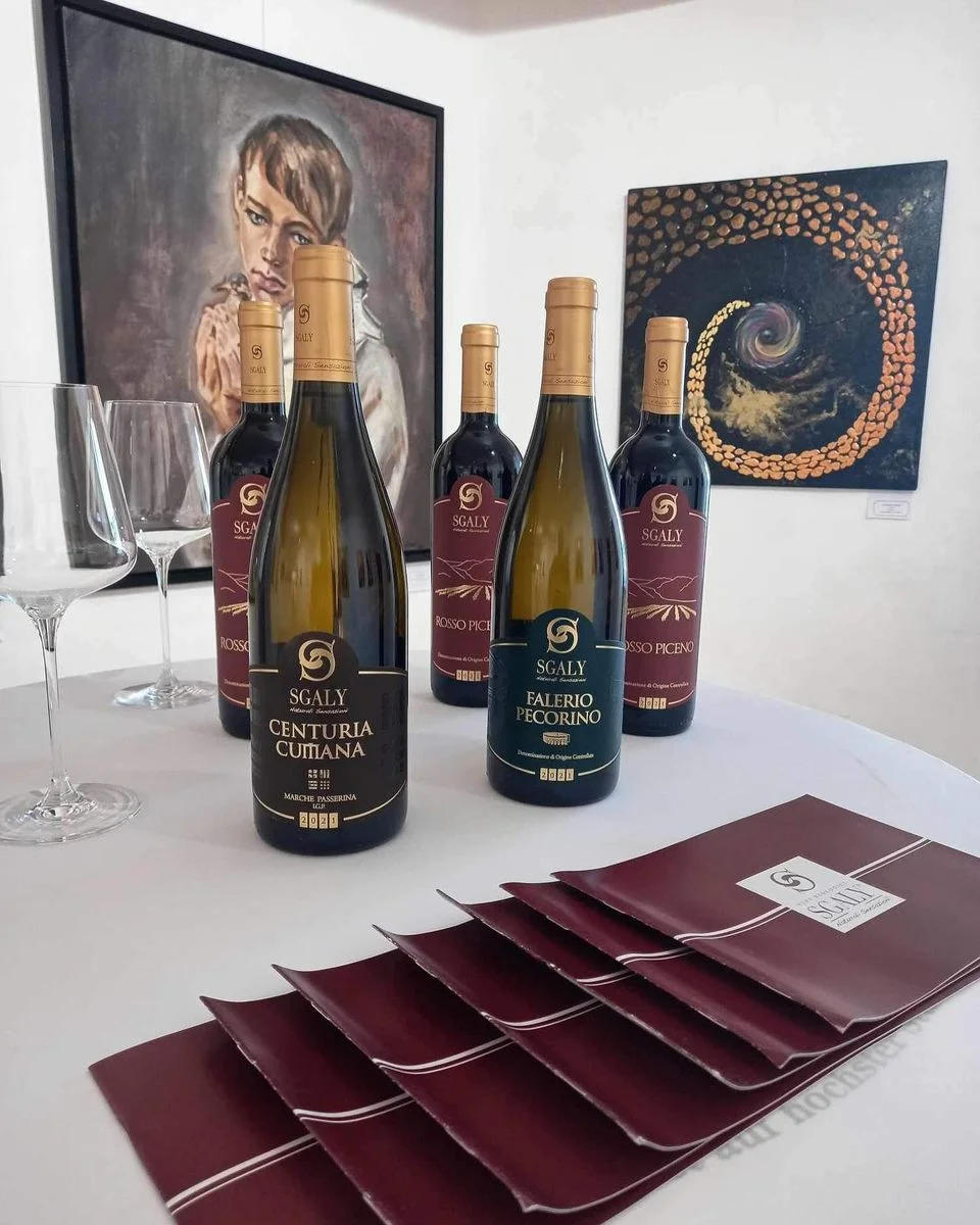 Cantina vinicola Sgaly – photo 3