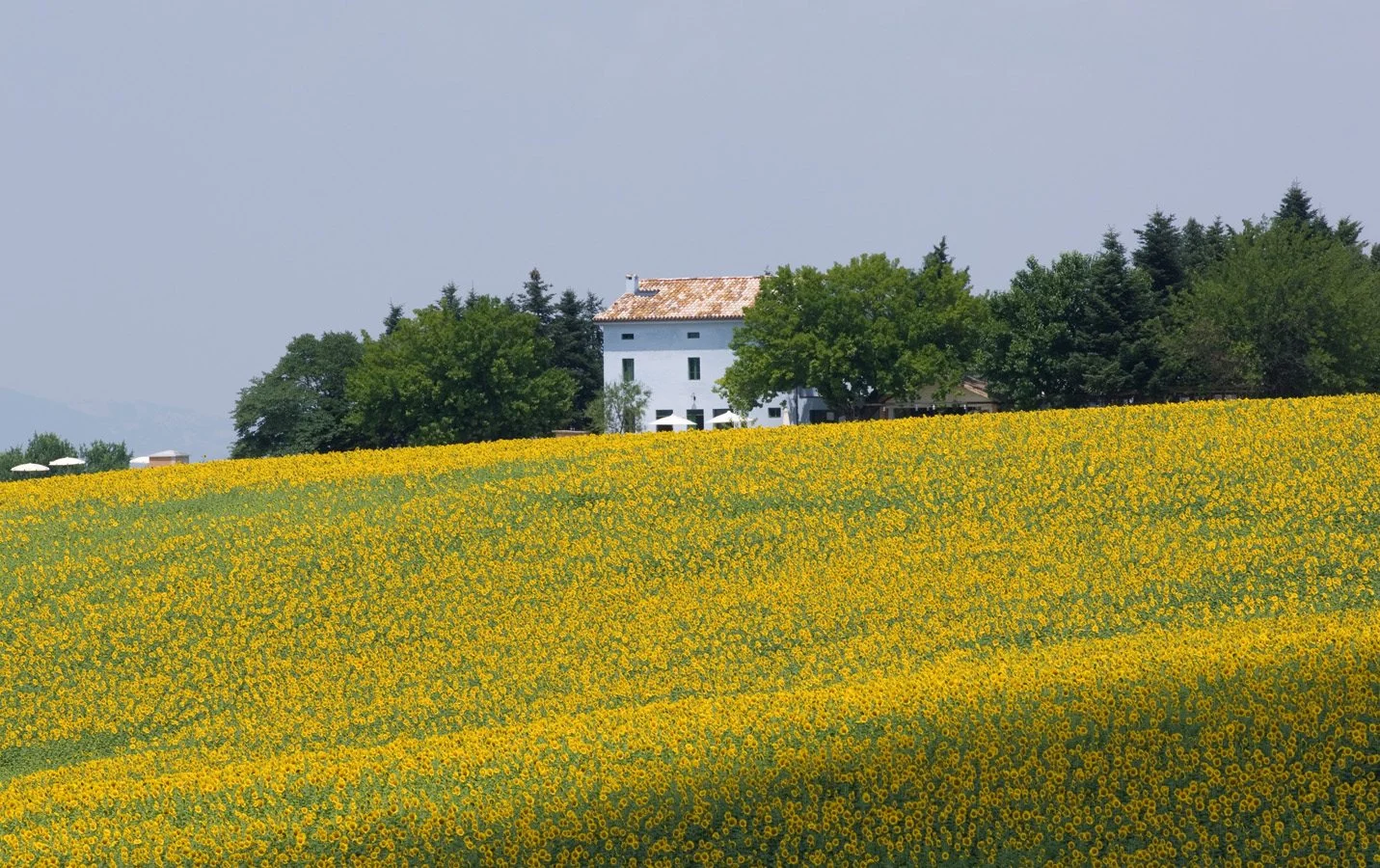 Casa Azzurra – photo 2