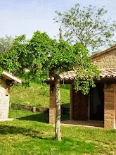 Country House Il Salino – photo 3