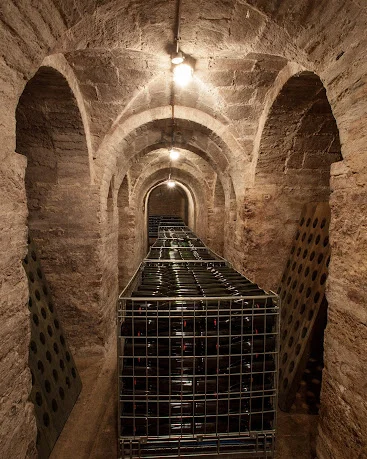 Fattoria le terrazze – photo 3