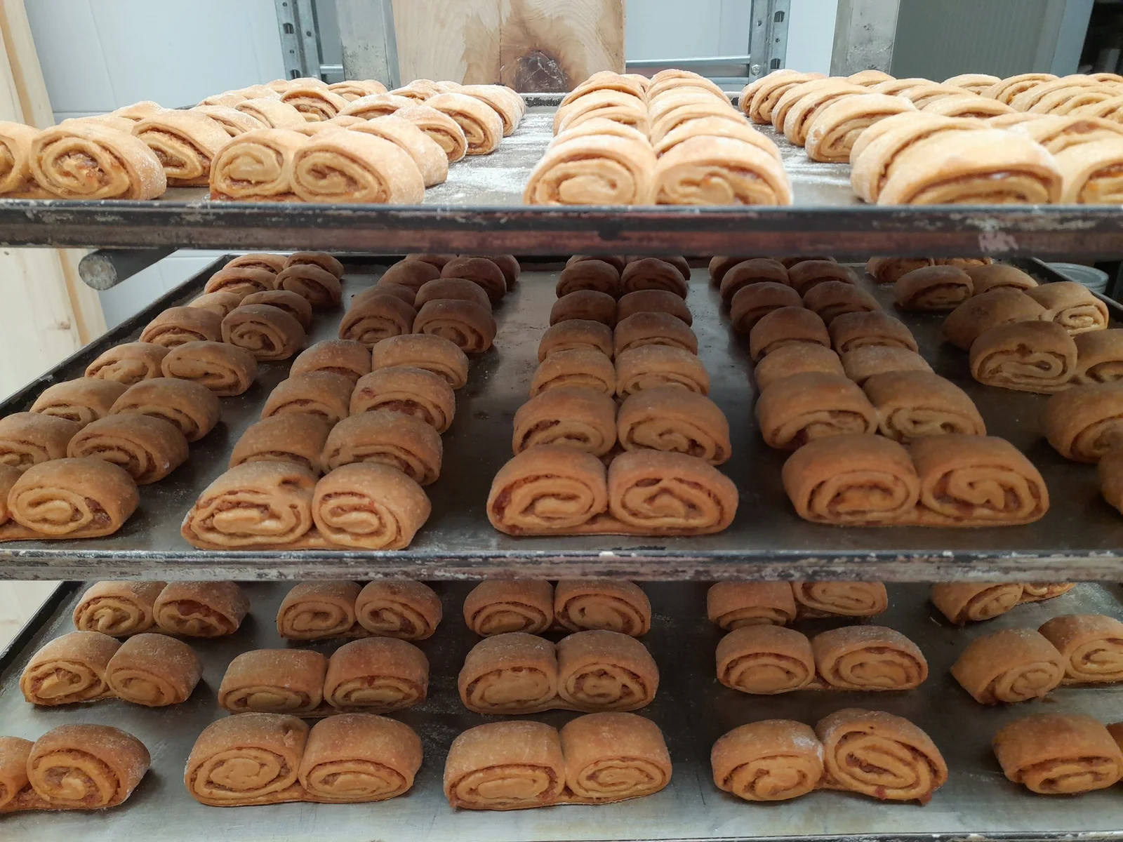 Forno a legna LAB – photo 3