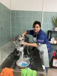 Grooming by Olga – photo 2