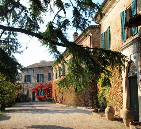 Malacari vini – photo 2