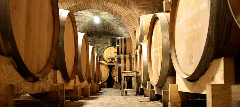 Malacari vini – photo 3