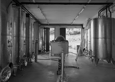 Podere l’infinito S.S. – photo 2
