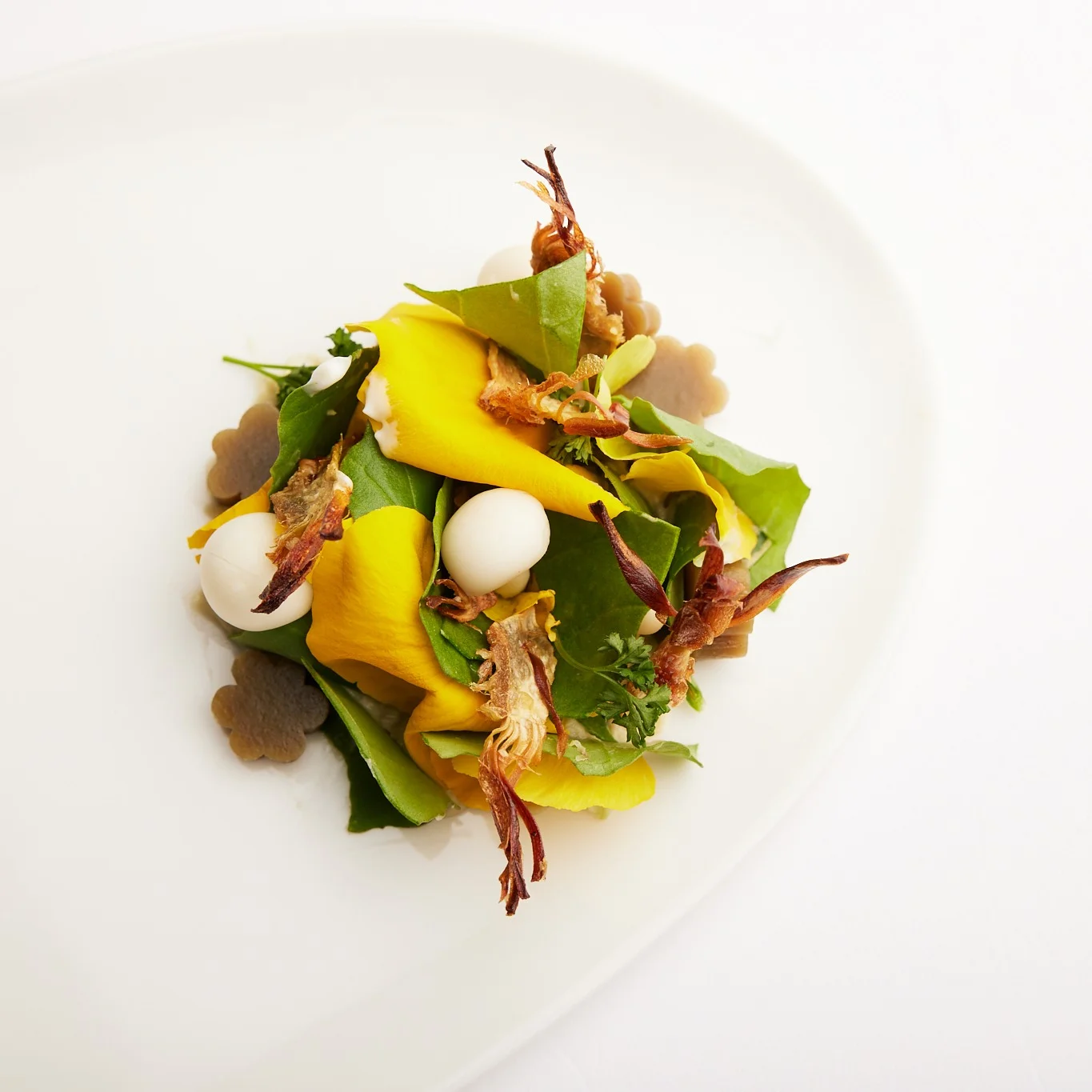 Ristorante Il Tiglio – photo 2