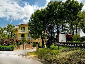 Tenuta Cocci Grifoni – photo 2