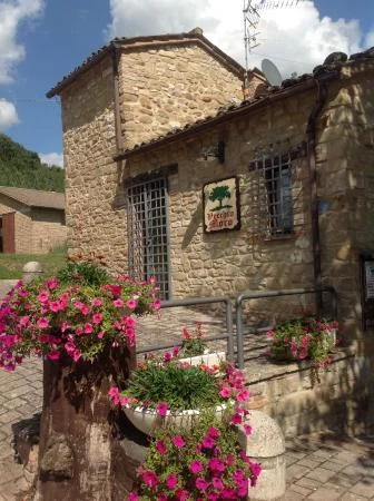 Vecchio Moro – photo 2