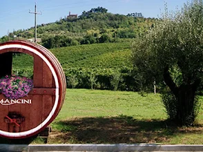 Verdicchio dei Castelli di Jesi Mancini – photo 2