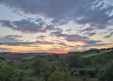 Vicari vini – photo 2