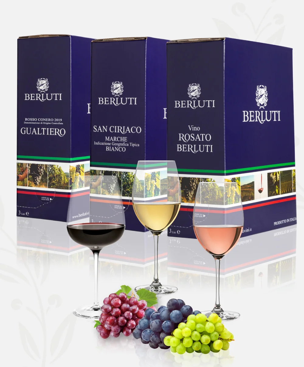 Vini Berluti – photo 3