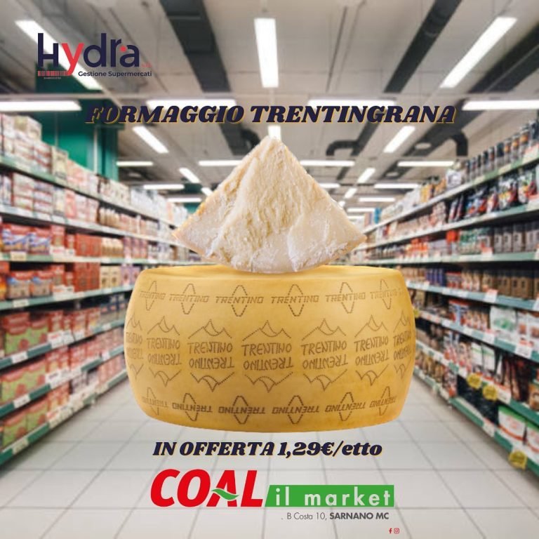 Coal Sarnano 05 768x768