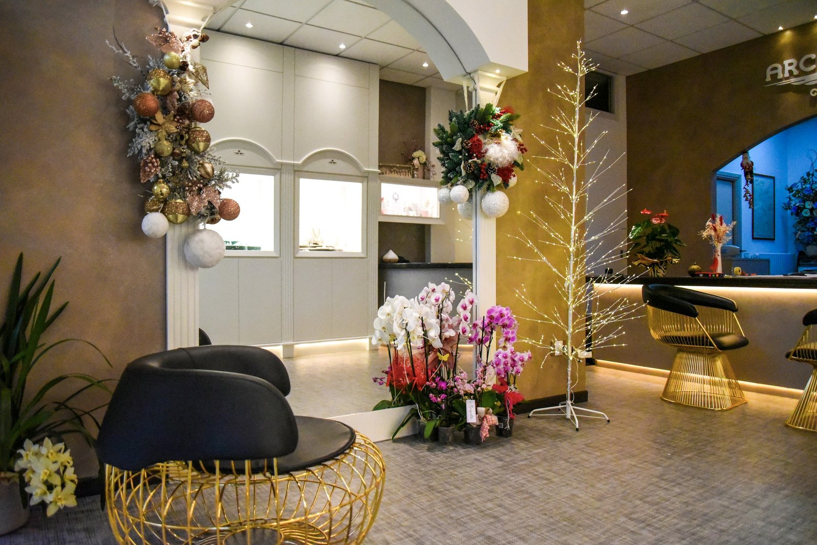 Opera bao ramen bar 10