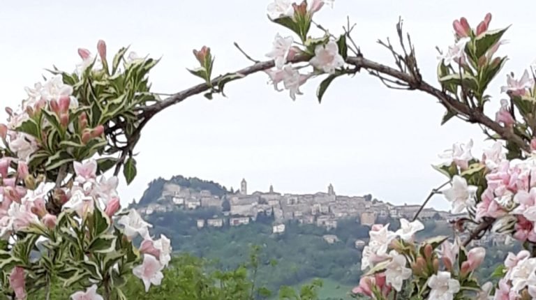 Ristorante Pizzeria Vecchi Sapori 03 768x430