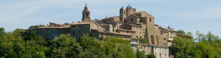 header img 1 768x201