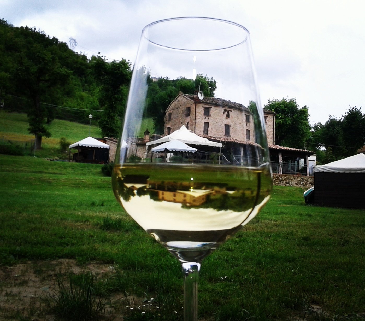 13131418 1167021309988783 843931300250356398 o