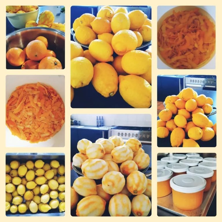 275192238 3050254255242560 3084183808976756699 n 768x768