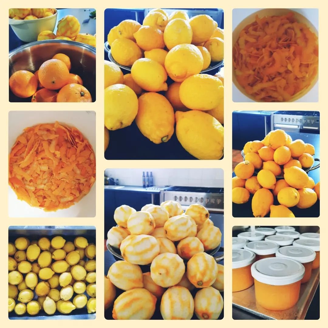 275192238 3050254255242560 3084183808976756699 n