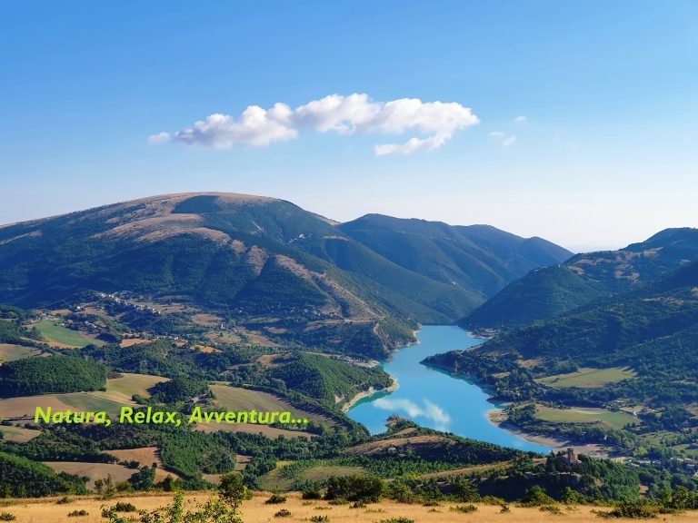 309315641 466201755547822 4997937178832782641 n 768x576