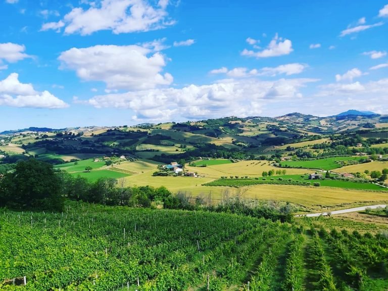 Dezi landscape 768x576