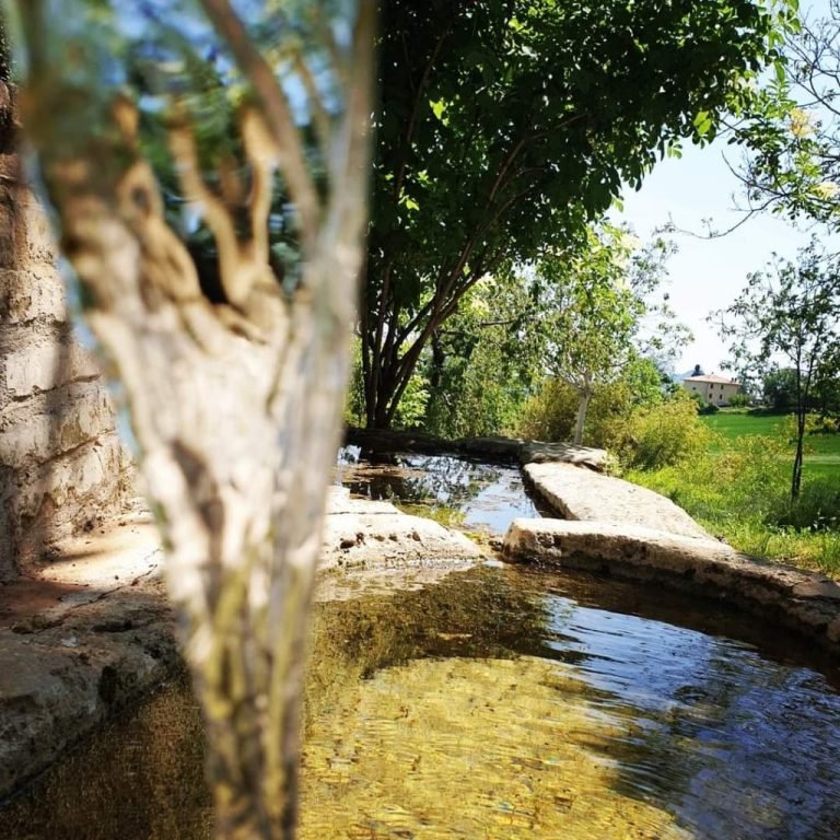 Gualdo 2 1024x1024 1 768x768