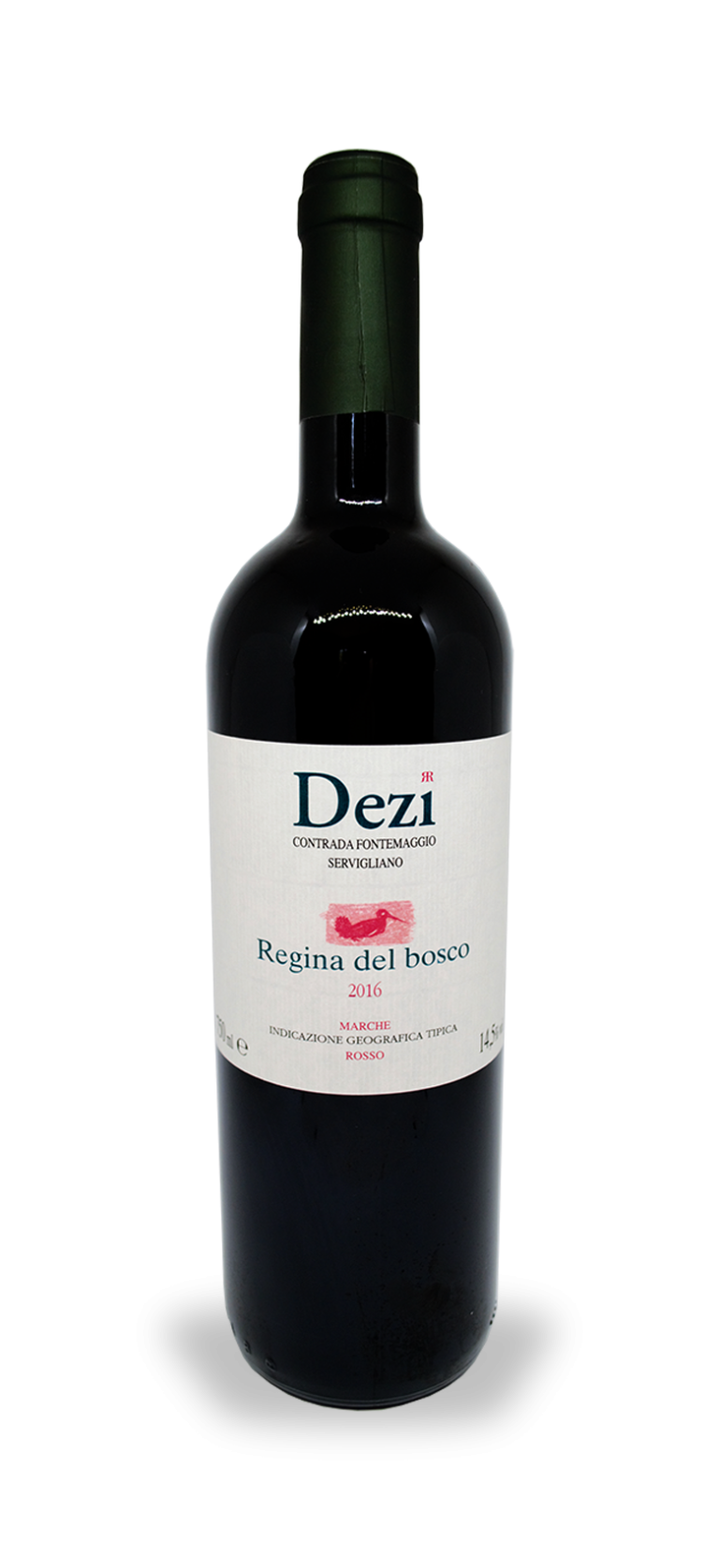 ReginaDelBosco 768x1676