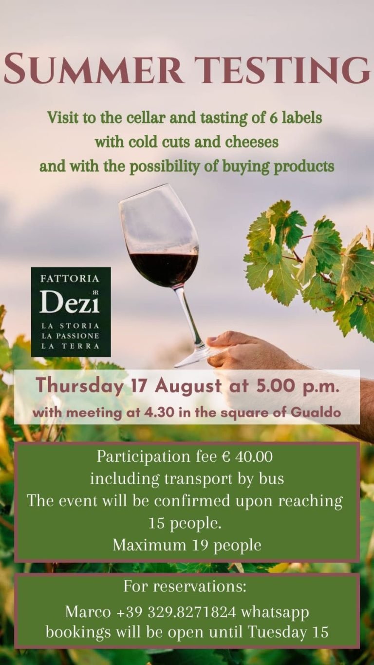 Summer Testing Dezi 17 08 2023 1 768x1365