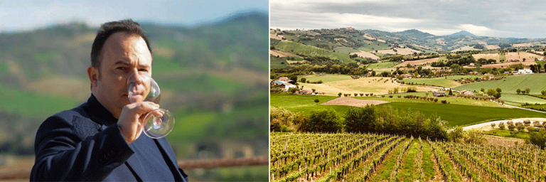 fattoria dezi 768x256
