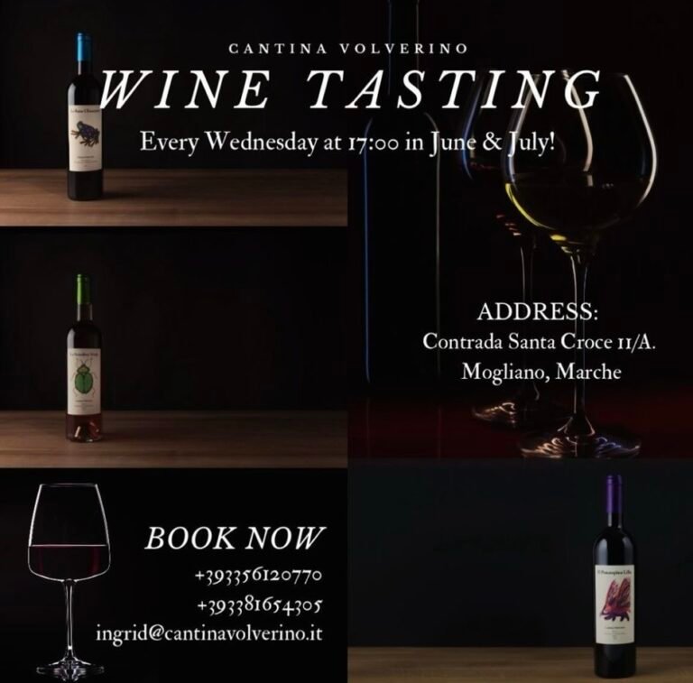 5eb97324 3dfd 4ad4 a1c1 ebe6e291d087 768x757