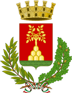 IMG 0891 234x300