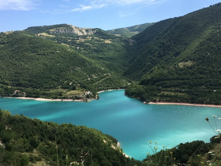 IMG 0959 768x576