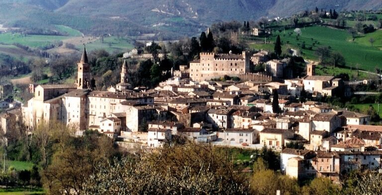 IMG 0964 768x392